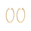 The Dina Hoop