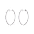 The Dina Hoop