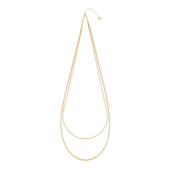 Double Snake Chain Necklace