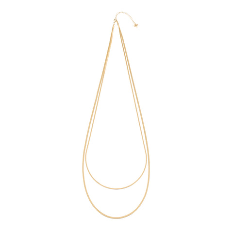 Double Snake Chain Necklace